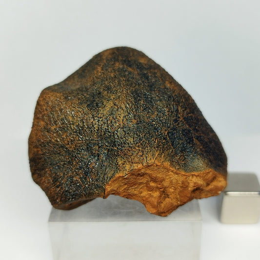 Meteorito MILLBILLILLIE (Australia, 1960). Eucrita -HED-. 48.8 g.