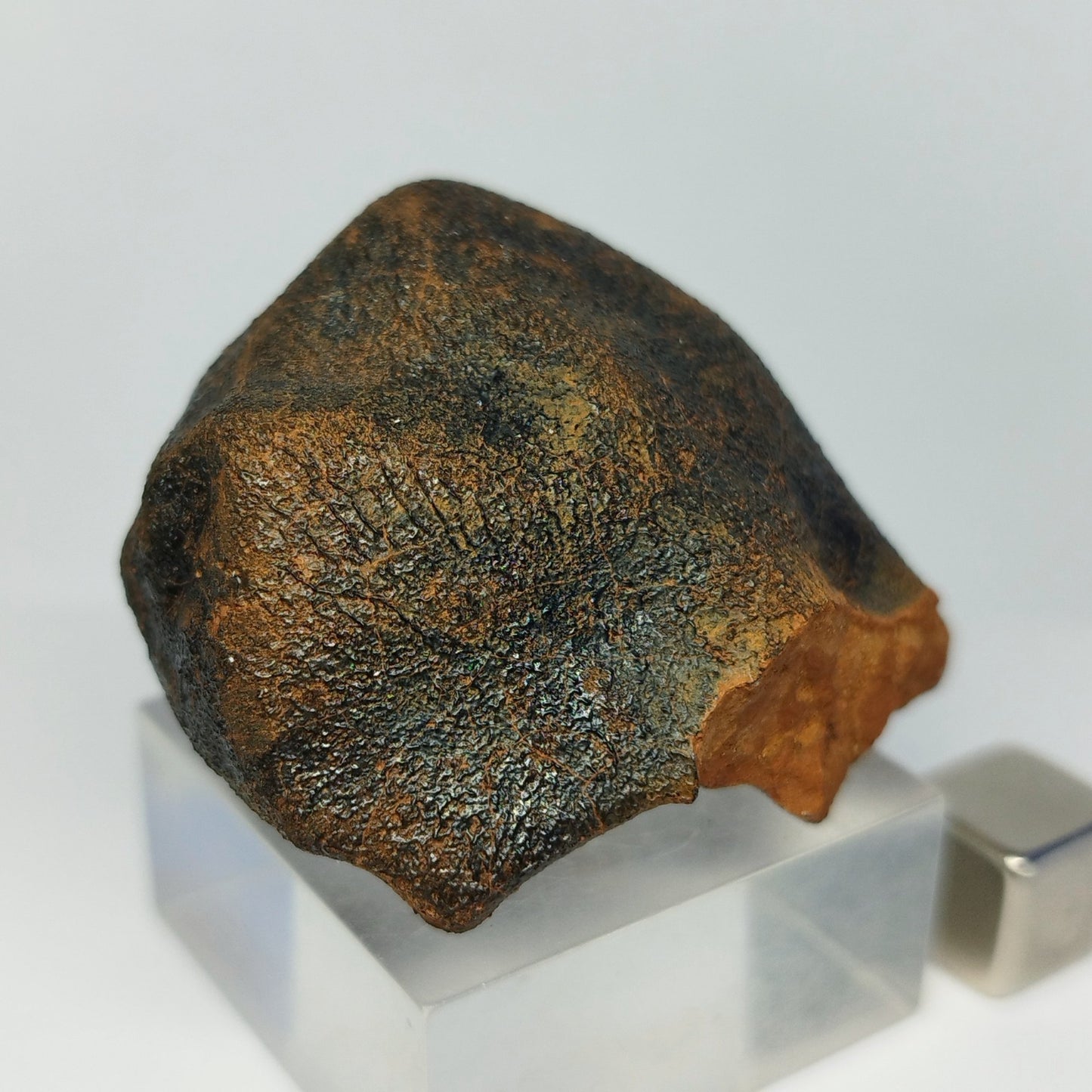 Meteorito MILLBILLILLIE (Australia, 1960). Eucrita -HED-. 48.8 g.