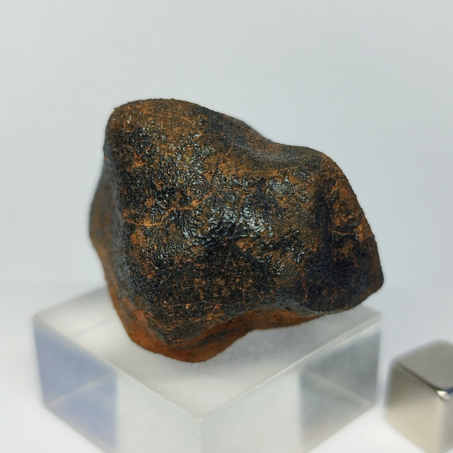 Meteorito MILLBILLILLIE (Australia, 1960). Eucrita -HED-. 48.8 g.