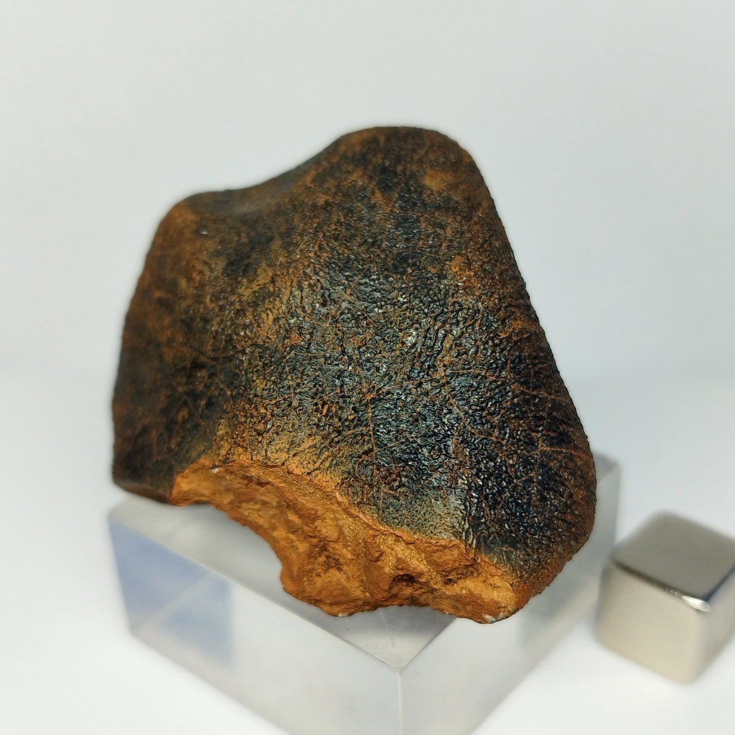 Meteorito MILLBILLILLIE (Australia, 1960). Eucrita -HED-. 48.8 g.