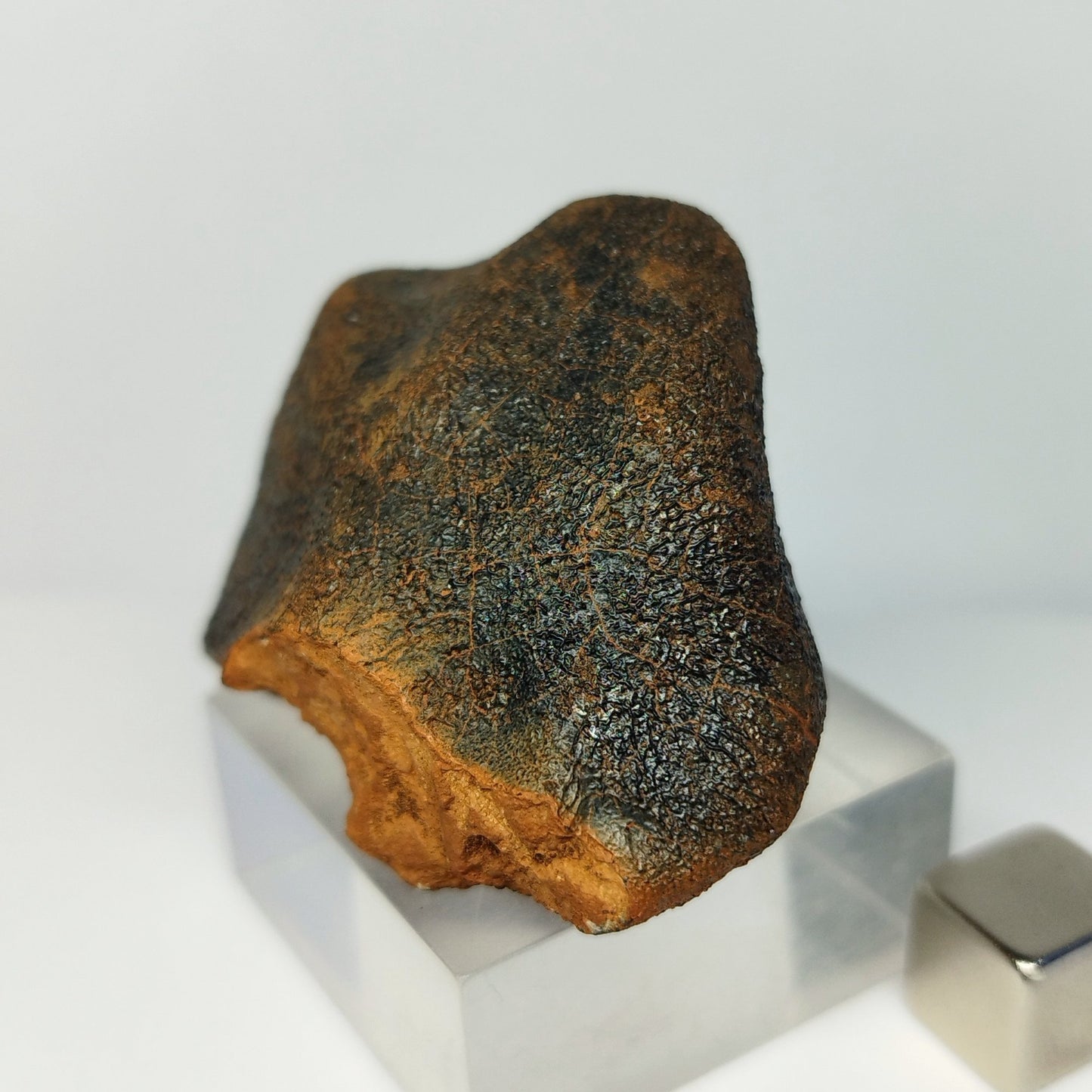 Meteorito MILLBILLILLIE (Australia, 1960). Eucrita -HED-. 48.8 g.