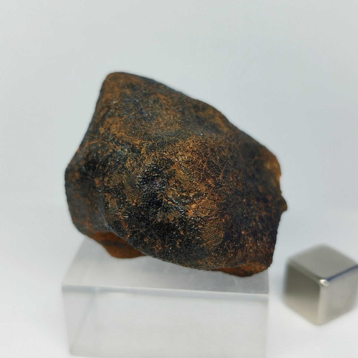 Meteorito MILLBILLILLIE (Australia, 1960). Eucrita -HED-. 48.8 g.