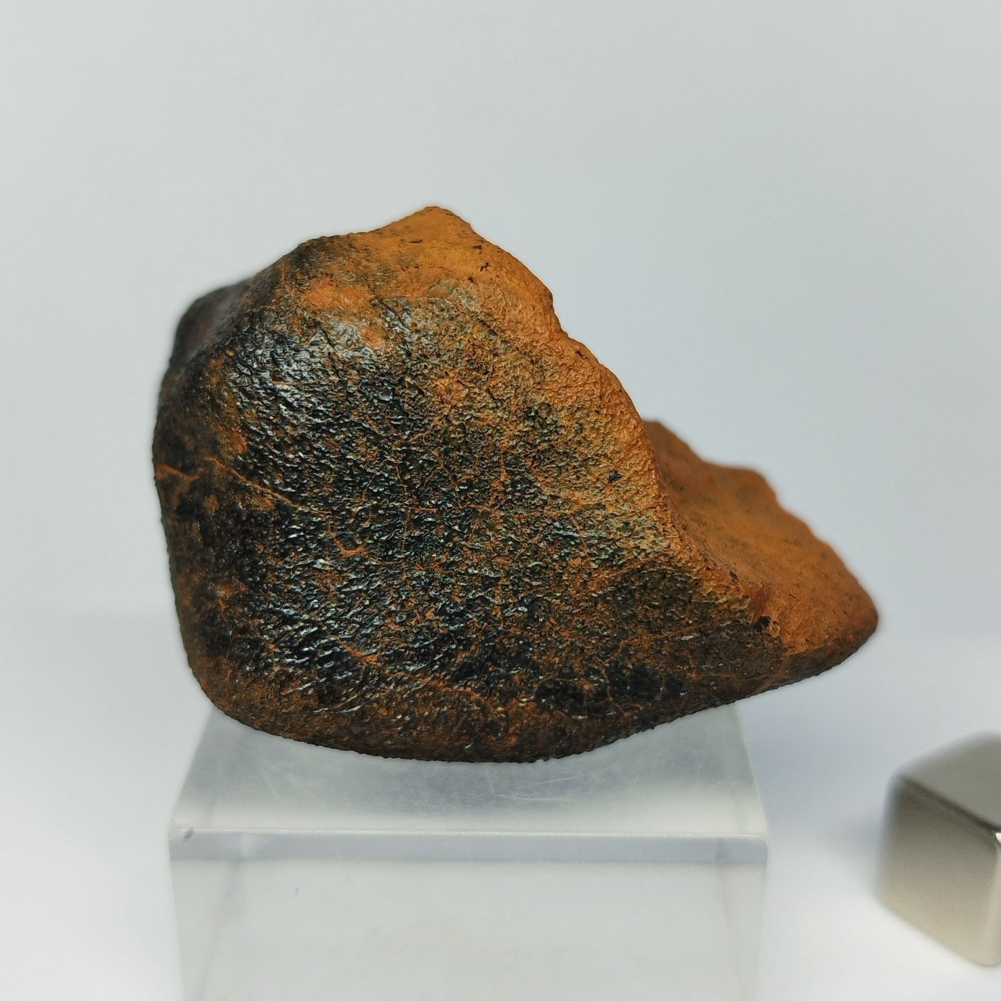 Meteorito MILLBILLILLIE (Australia, 1960). Eucrita -HED-. 48.8 g.