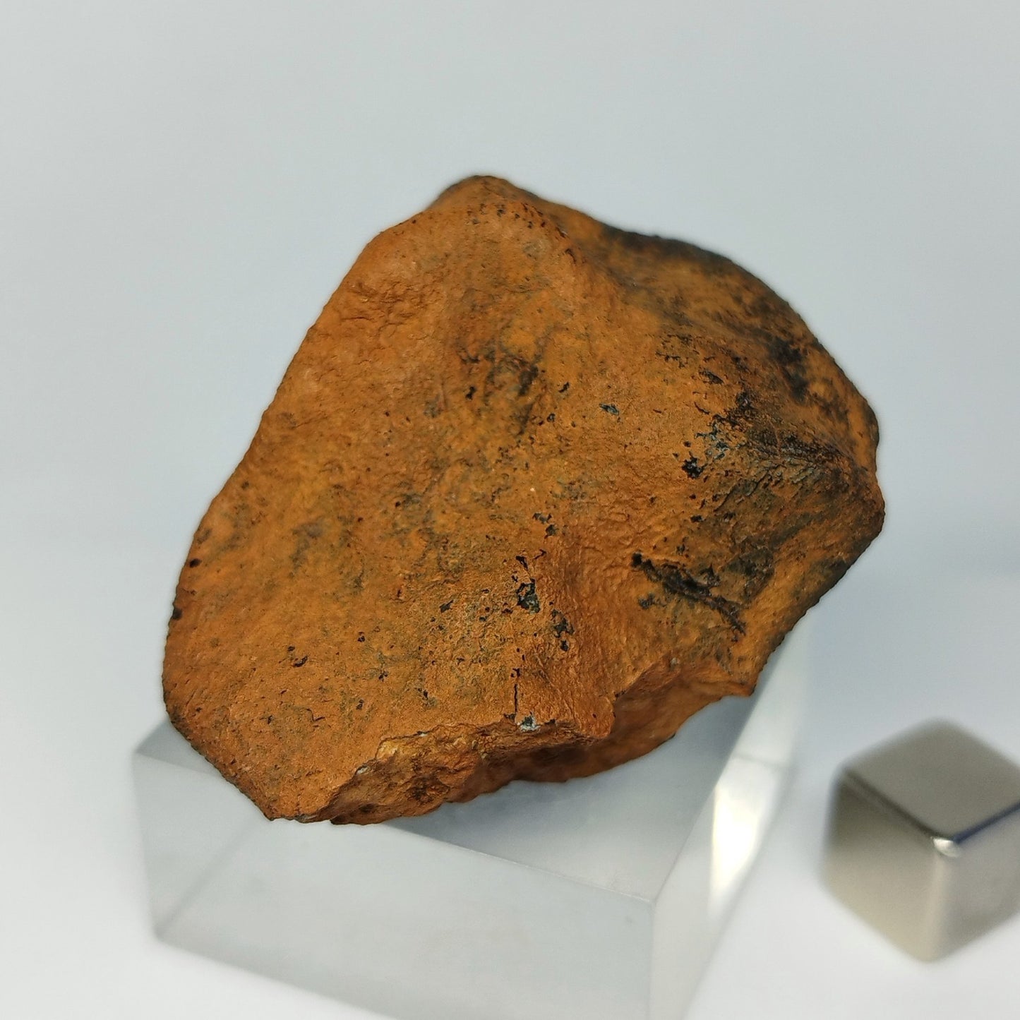 Meteorito MILLBILLILLIE (Australia, 1960). Eucrita -HED-. 48.8 g.