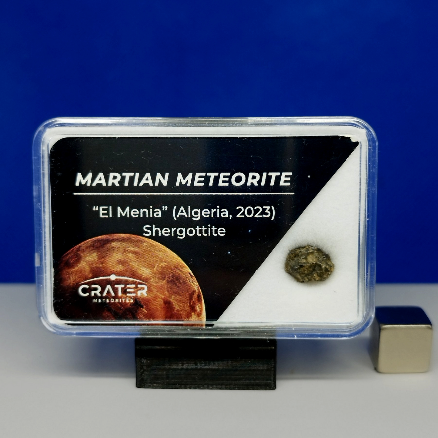 MARTIAN METEORITE