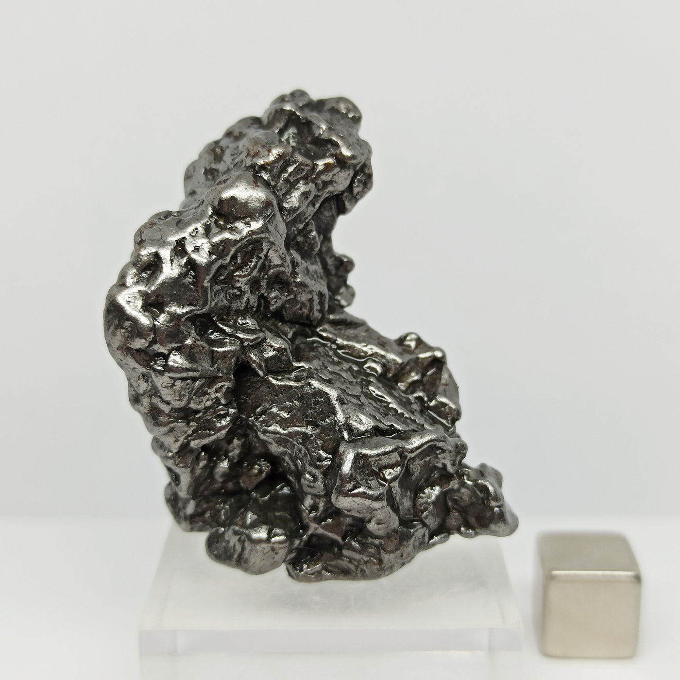 Metallic Meteorite - CAMPO DEL CIELO (Argentina, 4500 years) +50 grams