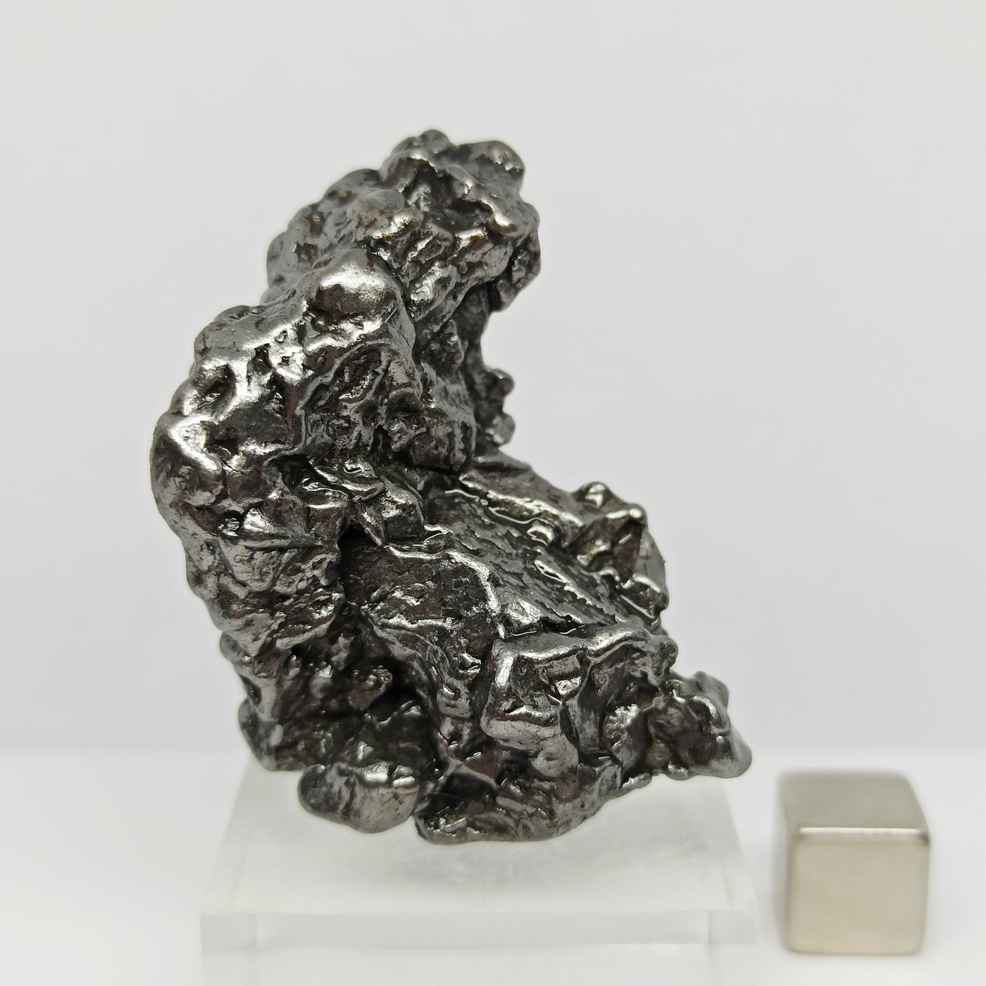 Meteorito metálico - CAMPO DEL CIELO (Argentina, 4500 años) +50 gramos