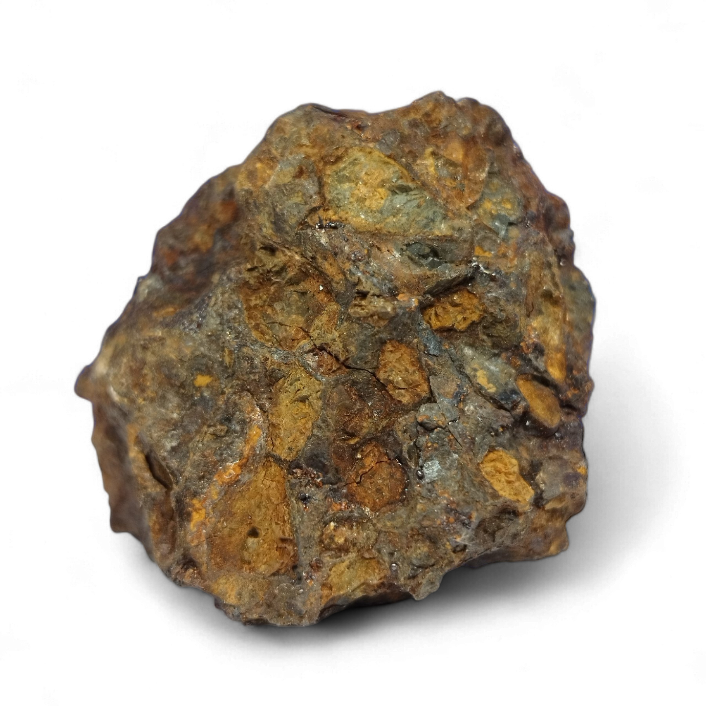 Sericho Pallasite